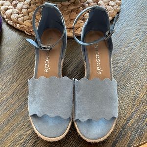 Light blue wedges
